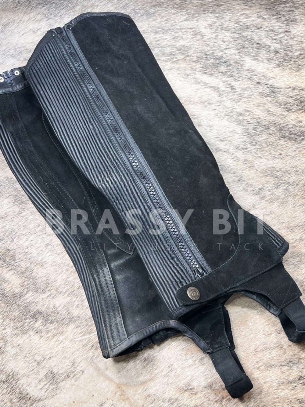 Ovation Suede English Half Chaps